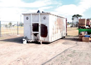 Habilitan centro de acopio para desechar PINOS DE NAVIDAD NATURALES