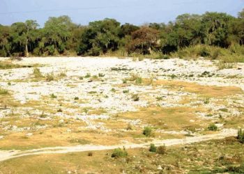 CONAGUA Tamaulipas, el estado con más sequía en México