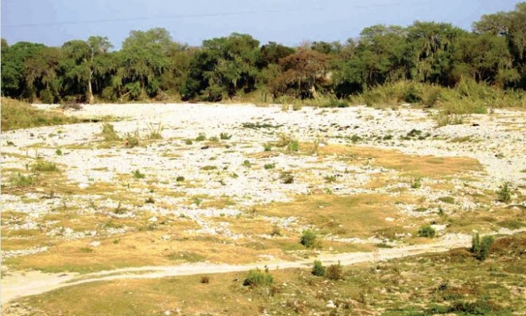 CONAGUA Tamaulipas, el estado con más sequía en México