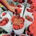 UISD restringe flores y regalos para San Valentín
