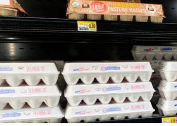 Contrabando de huevo supera al de narcóticos