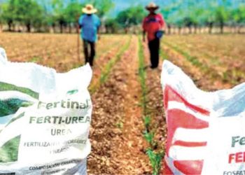 APOYO PARA MILES DE AGRICULTORES Aterrizarán fertilizantes del Bienestar