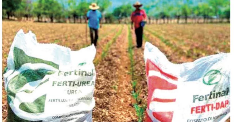 APOYO PARA MILES DE AGRICULTORES Aterrizarán fertilizantes del Bienestar