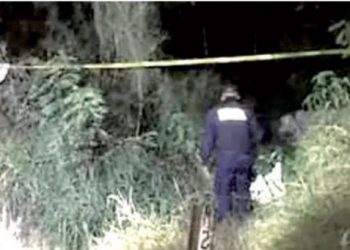 EN DOS MUNICIPIOS DE TAMAULIPAS Autoridades localizan fetos