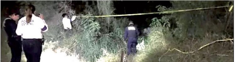 EN DOS MUNICIPIOS DE TAMAULIPAS Autoridades localizan fetos