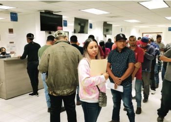 GRUPO REDUCIDO Fiscal solo entregará placas a dueños de vehículos ligeros