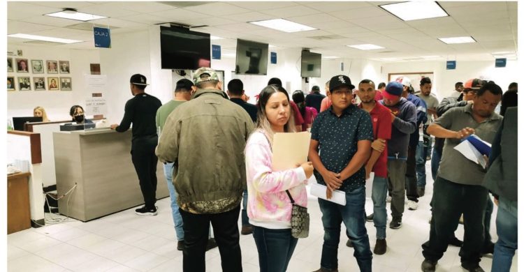 GRUPO REDUCIDO Fiscal solo entregará placas a dueños de vehículos ligeros