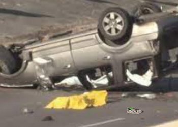 Mueren 19 personas en accidentes viales