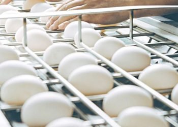 Se descontrola el precio del huevo en Laredo