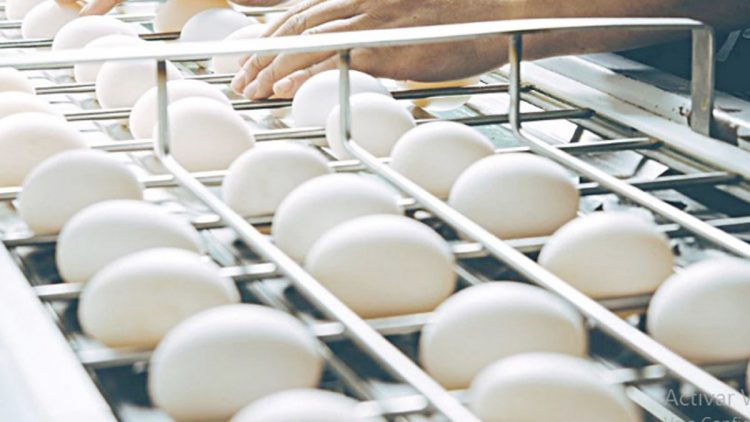 Se descontrola el precio del huevo en Laredo