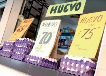 Precio del huevo podría seguir en aumento, señalan comerciantes