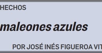 LOS HECHOS Camaleones azules