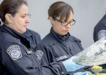 CBP prohíbe el cruce de arreglos florales