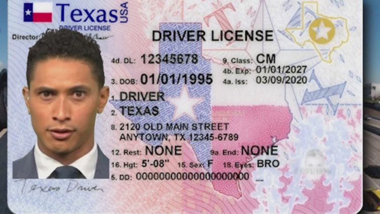 Buscan dar licencias de manejo a migrantes