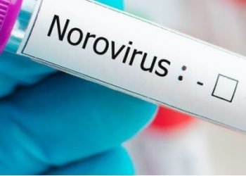 Advierten sobre ola de infecciones por norovirus