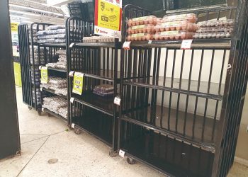 ¡Nos faltan huevos! Empiezan a reportar escases