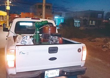 Negativo el primer caso sospechoso de “chinche besucona” en Nuevo Laredo