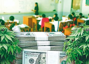 Proponen que dinero de venta de mariguana en Texas ayude a escuelas