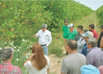 Capacitan a citricultores en combate a plagas