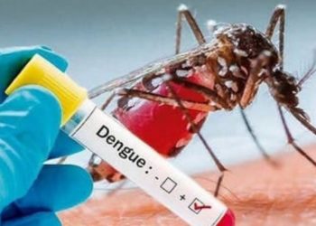 ADVIERTEN QUE SERÁ COMPLICADO Alerta Salud por 8 casos de dengue