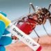ADVIERTEN QUE SERÁ COMPLICADO Alerta Salud por 8 casos de dengue