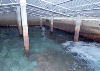 Declaran emergencia por la falta de agua