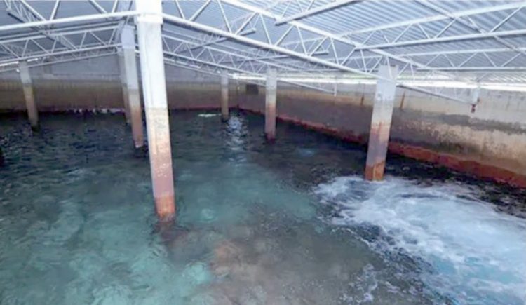 Declaran emergencia por la falta de agua