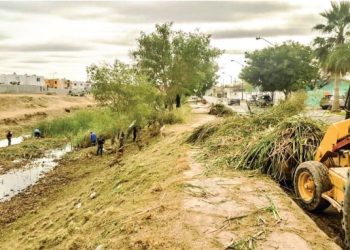 Buscan a cocodrilo en arroyo El Coyote, por Los Fresnos