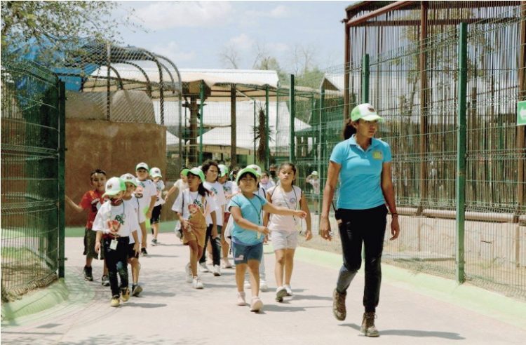A NIÑOS Y ADOLESCENTES Invitan a formar parte del programa Zookids