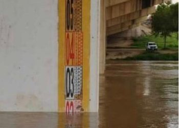 Estudiantes de la Universidad de San Antonio analizarán el Río Bravo