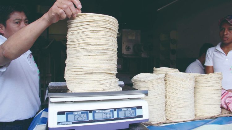 Aumentará tortilla en la región 1 peso