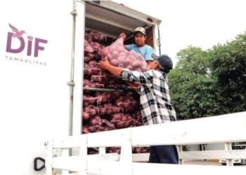 Donan 19 toneladas de productos del campo al DIF Tamaulipas
