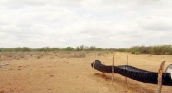 Preocupa a ganaderos la escasez de lluvia