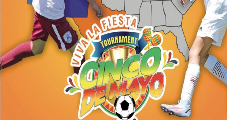 Estudios de factibilidad para carretera interna