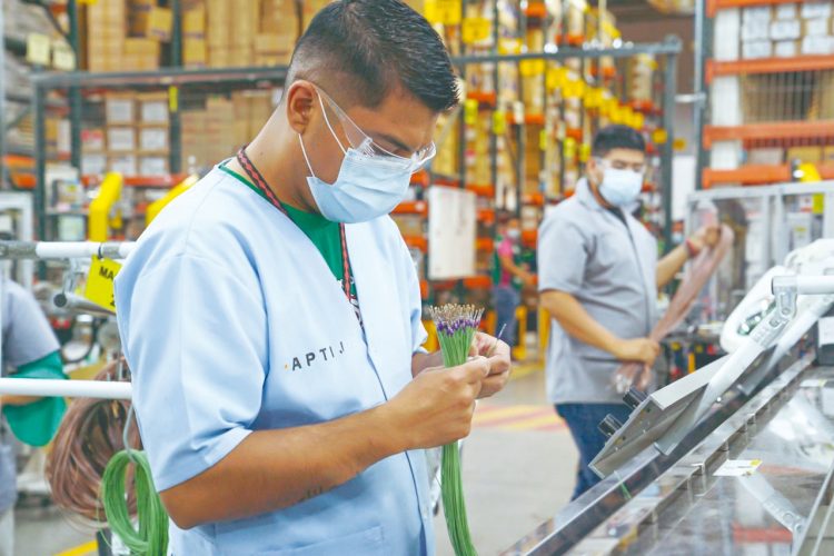 Albañiles tiran la pala para irse a máquila