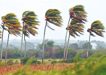 Pegarán catorce huracanes en Tamaulipas