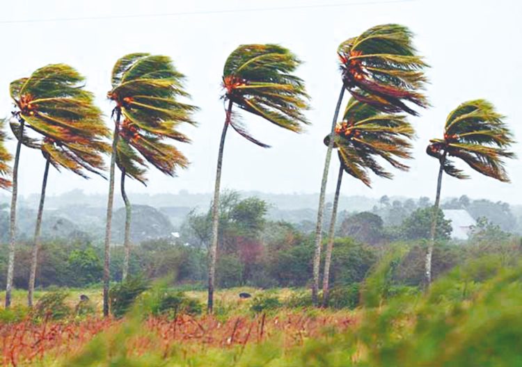 Pegarán catorce huracanes en Tamaulipas