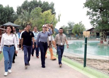 OBRAS EN EL ZOOLÓGICO Avanza rehabilitación de “Serengueti»