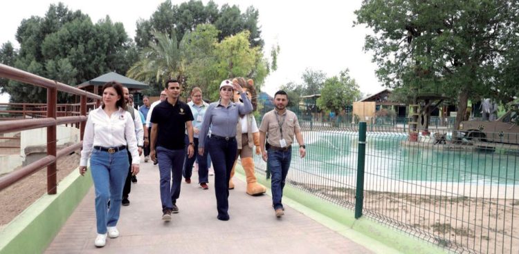 OBRAS EN EL ZOOLÓGICO Avanza rehabilitación de “Serengueti»