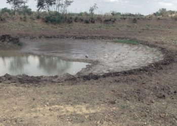 Ganaderos esperan el milagro que acabe con la sequía