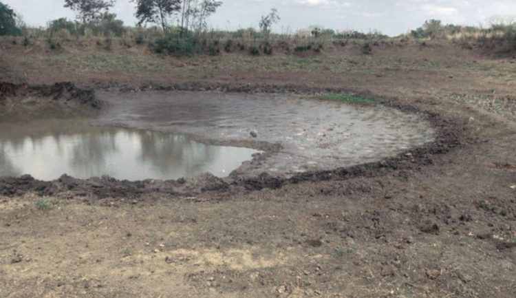 Ganaderos esperan el milagro que acabe con la sequía