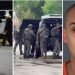 Mata a su ex pareja y escapa del SWAT