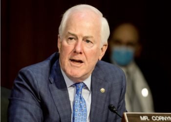 Tema de la frontera fija atención al Senador John Cornyn