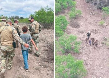 Rescatan a niño tras pasar 14 horas perdido