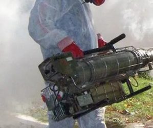 Unen esfuerzos para prevenir el dengue