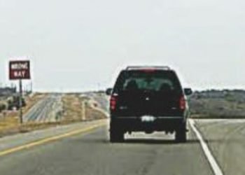 Identifican a la mujer que se lanzó del auto en marcha