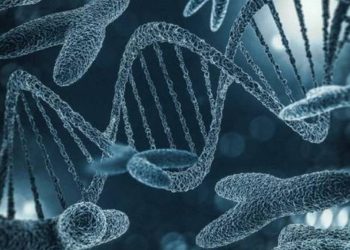 La pérdida del cromosoma Y en hombres promueve el crecimiento agresivo del cáncer, pero abre oportunidades en la inmunoterapia