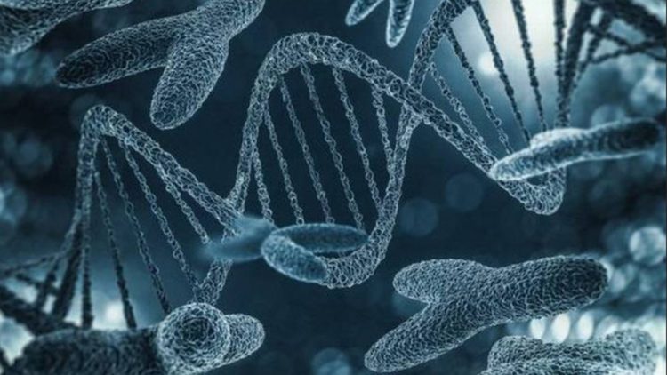 La pérdida del cromosoma Y en hombres promueve el crecimiento agresivo del cáncer, pero abre oportunidades en la inmunoterapia