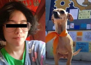 Estudiantes del CBTIS86 de Huauchinango exigen justicia por cruel caso de maltrato animal