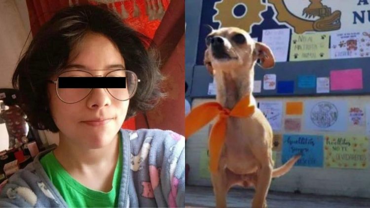 Estudiantes del CBTIS86 de Huauchinango exigen justicia por cruel caso de maltrato animal